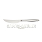 Preview: Steakmesser 239 mm Serie Terra