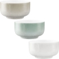 Preview: Foodbowl 20 cm SENTO Aura 3 Farben Seltmann Weiden 001.776750 001.776768 001.776786