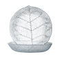 Preview: Teller tief Ø 21cm Aspen Luminarc ARC 10365