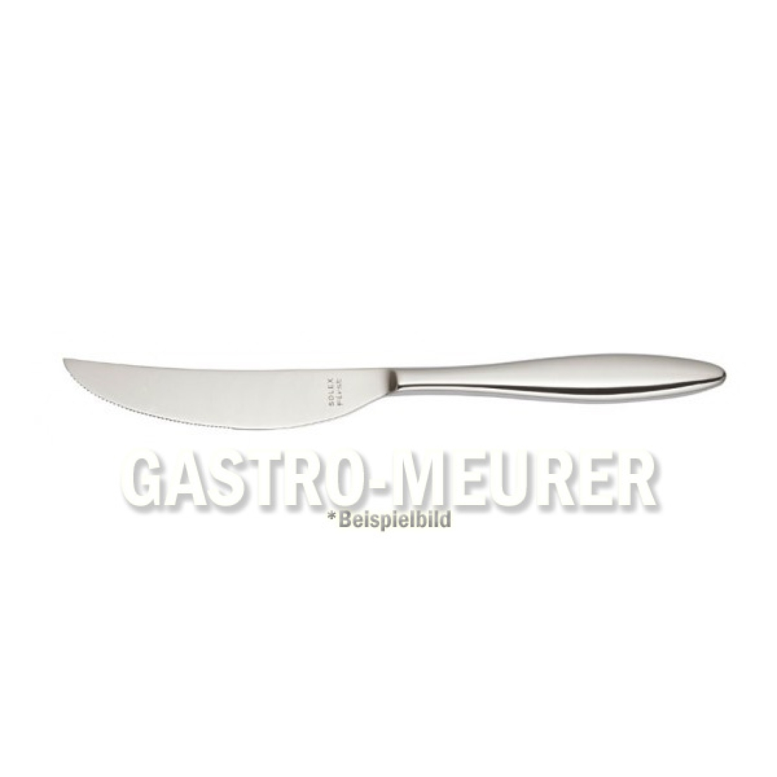 Steakmesser 239 mm Serie Terra