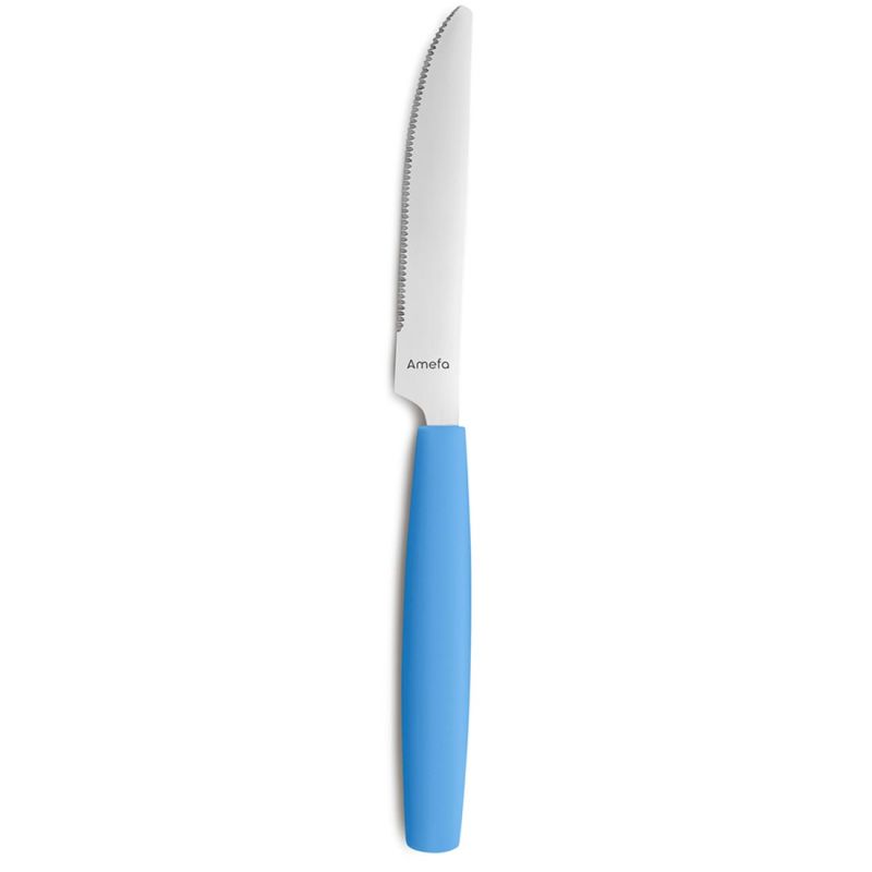 Menümesser 22,4 cm Pixel Farbe Sky