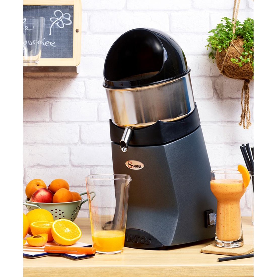 Santos Power-Saftpresse S52 grau
