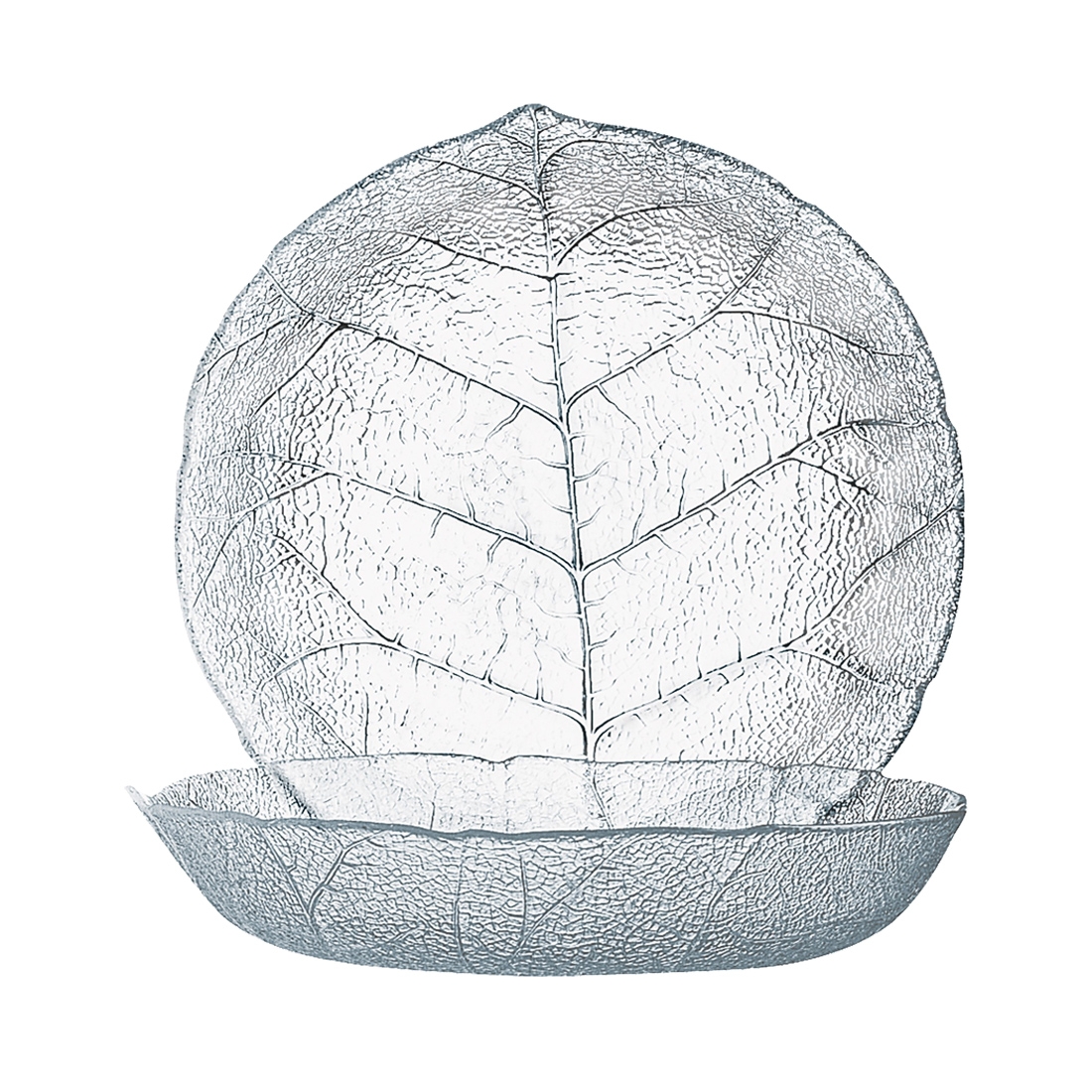 Teller tief Ø 21cm Aspen Luminarc ARC 10365